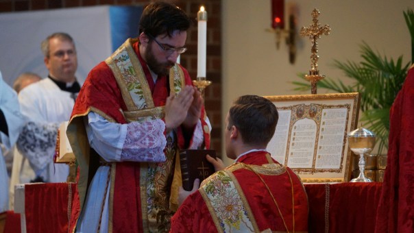 wp-1445897196438 image