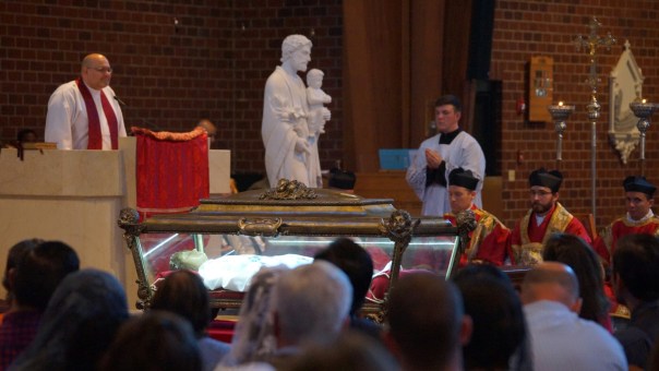 wp-1445897245827 image