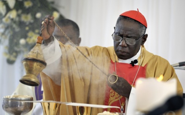 20110112cnsbr04171-1-800x500.jpg image