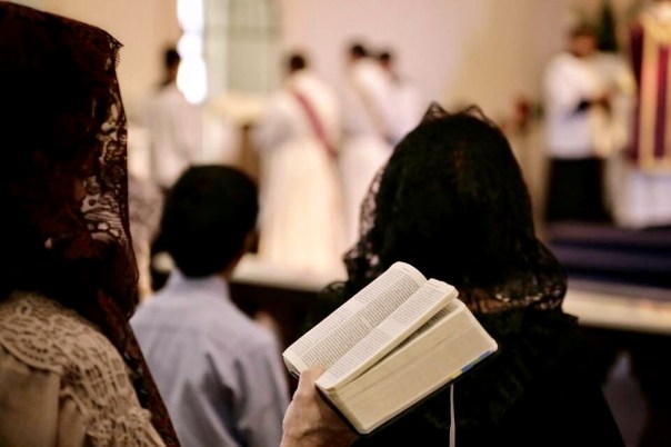 87DDFBF8-CE85-4F2F-BD8D-9ADC16B8808C